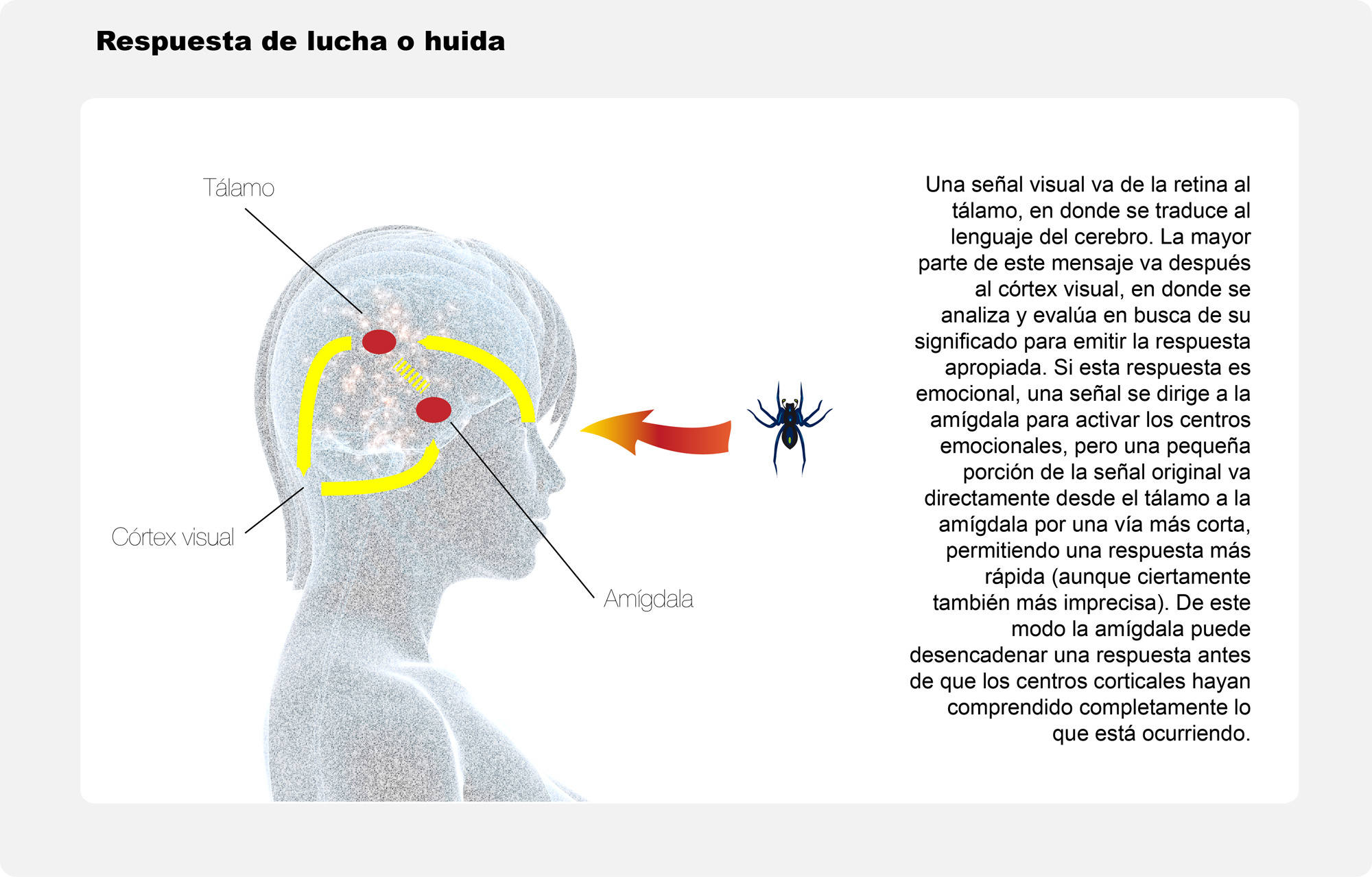 Inteligencia Emocional Resumen Del Libro Daniel Goleman